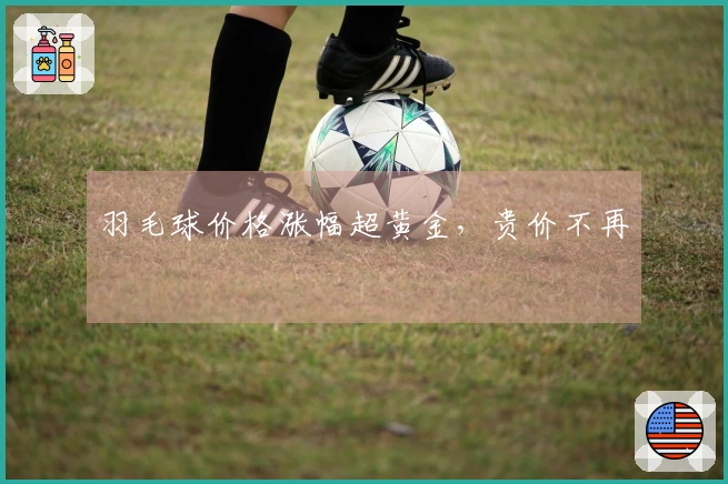 羽毛球价格涨幅超黄金，贵价不再