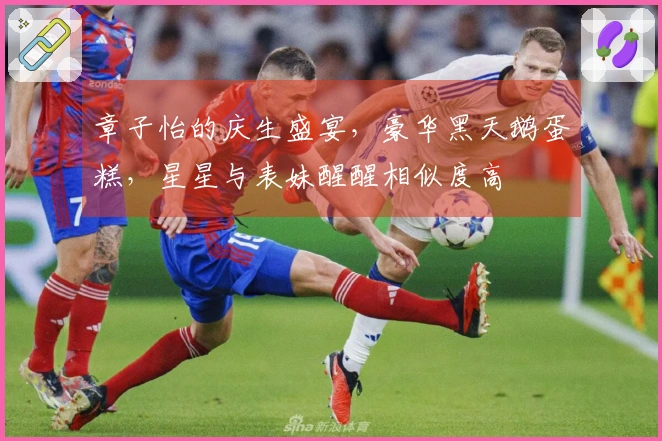 章子怡的庆生盛宴，豪华黑天鹅蛋糕，星星与表妹醒醒相似度高